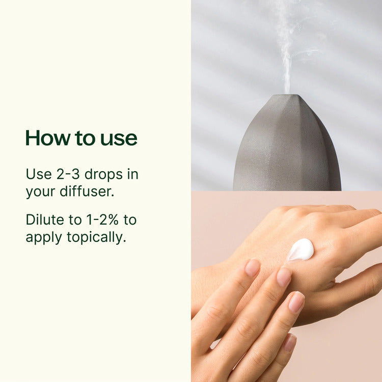 Plant Therapy Ravintsara Essential Oil