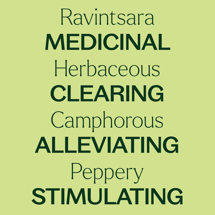 Plant Therapy Ravintsara Essential Oil
