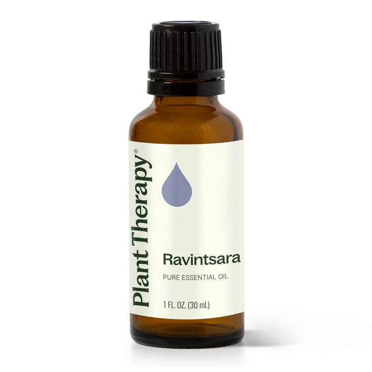 Plant Therapy Ravintsara Essential Oil