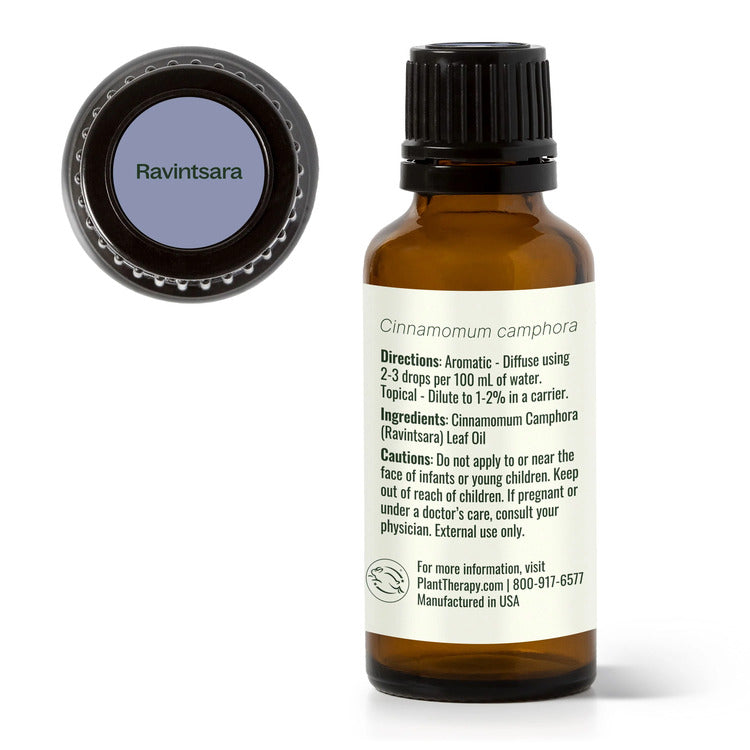 Plant Therapy Ravintsara Essential Oil