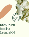 Plant Therapy Rosalina Essential Oil