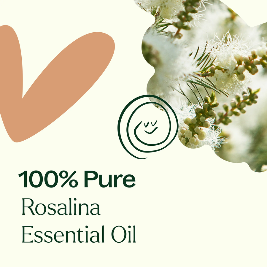 Plant Therapy Rosalina Essential Oil