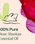 Plant Therapy Rose Absolute