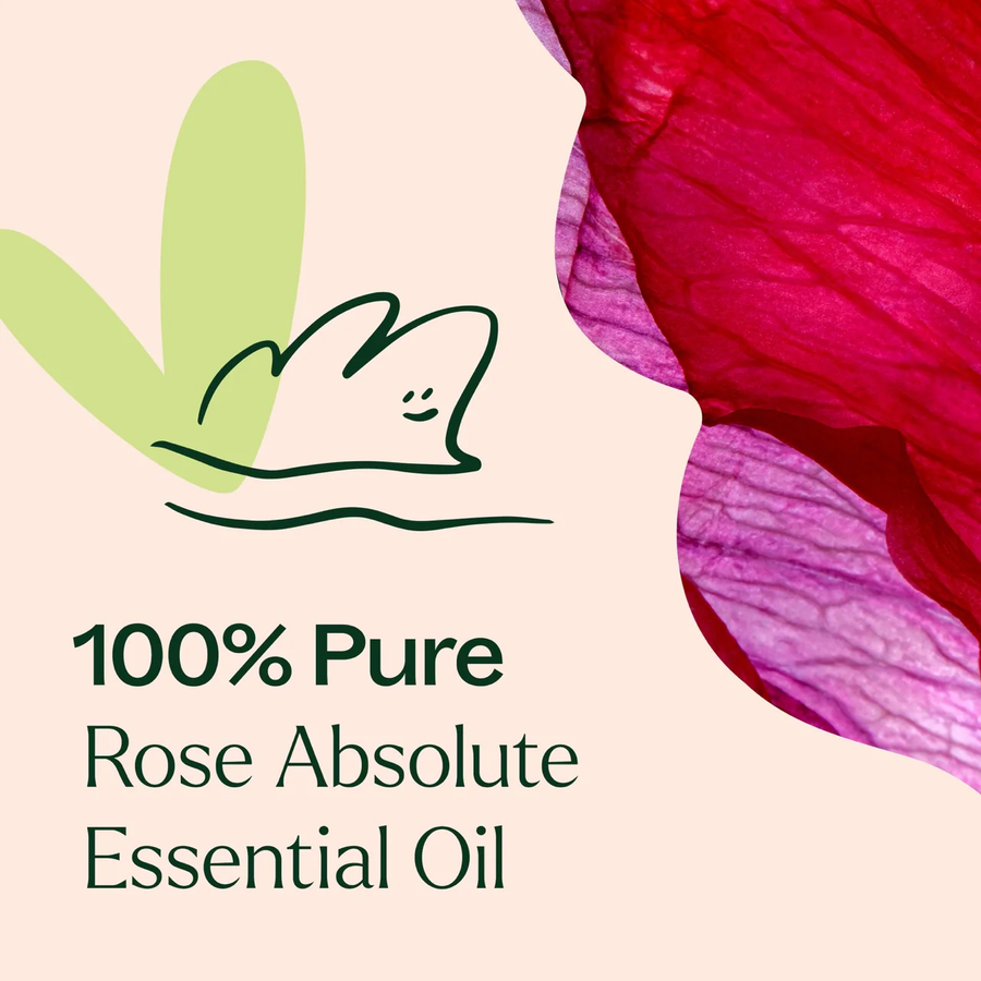 Plant Therapy Rose Absolute