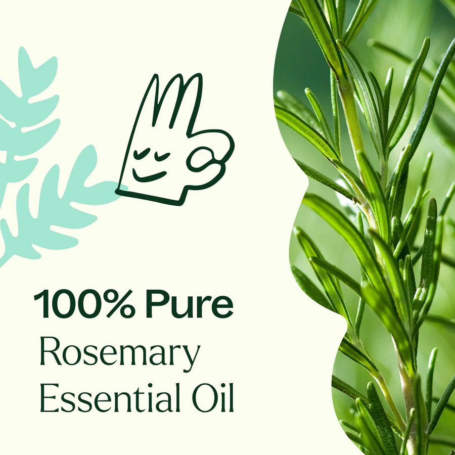 Plant Therapy Rosemary 1,8-Cineole Essential Oil