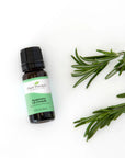Plant Therapy Rosemary 1,8-Cineole Essential Oil