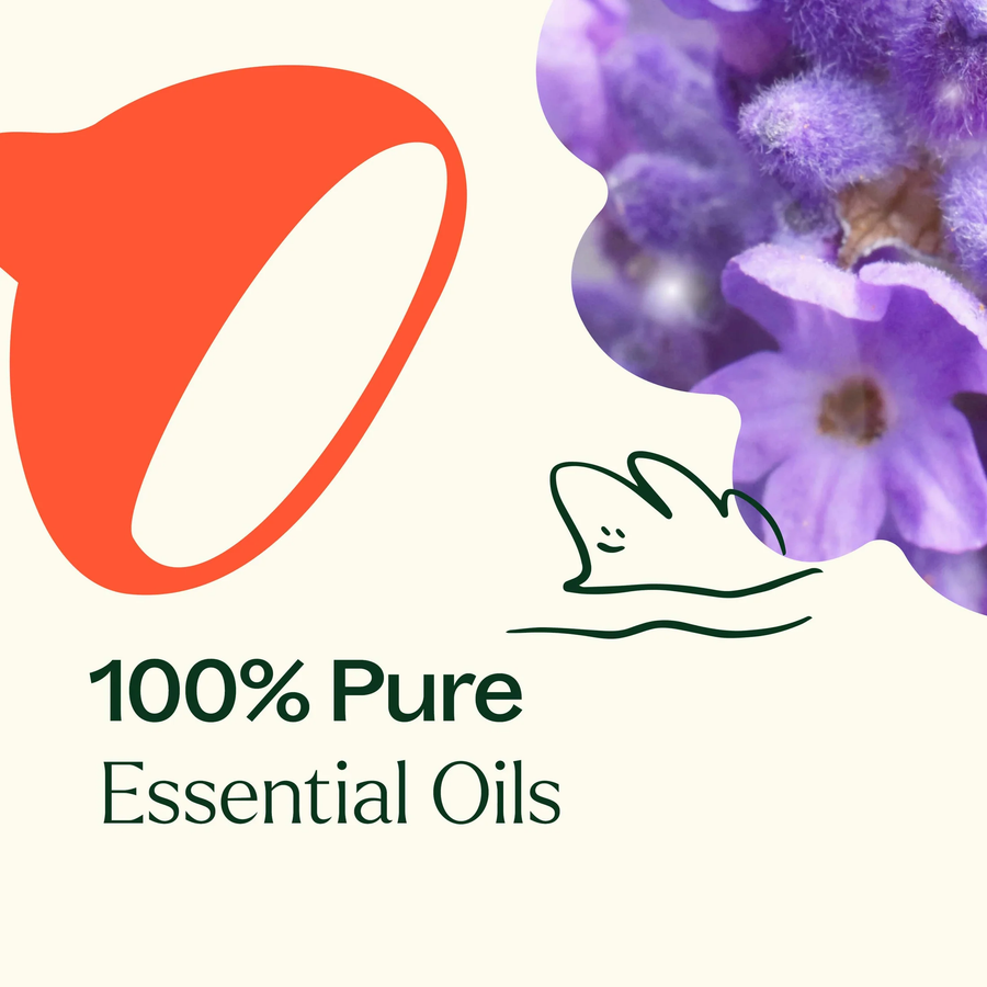 Plant Therapy Sensual Essential Oil Blend