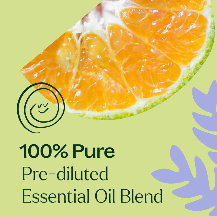 Plant Therapy Sleep Tight Essential Oil Blend