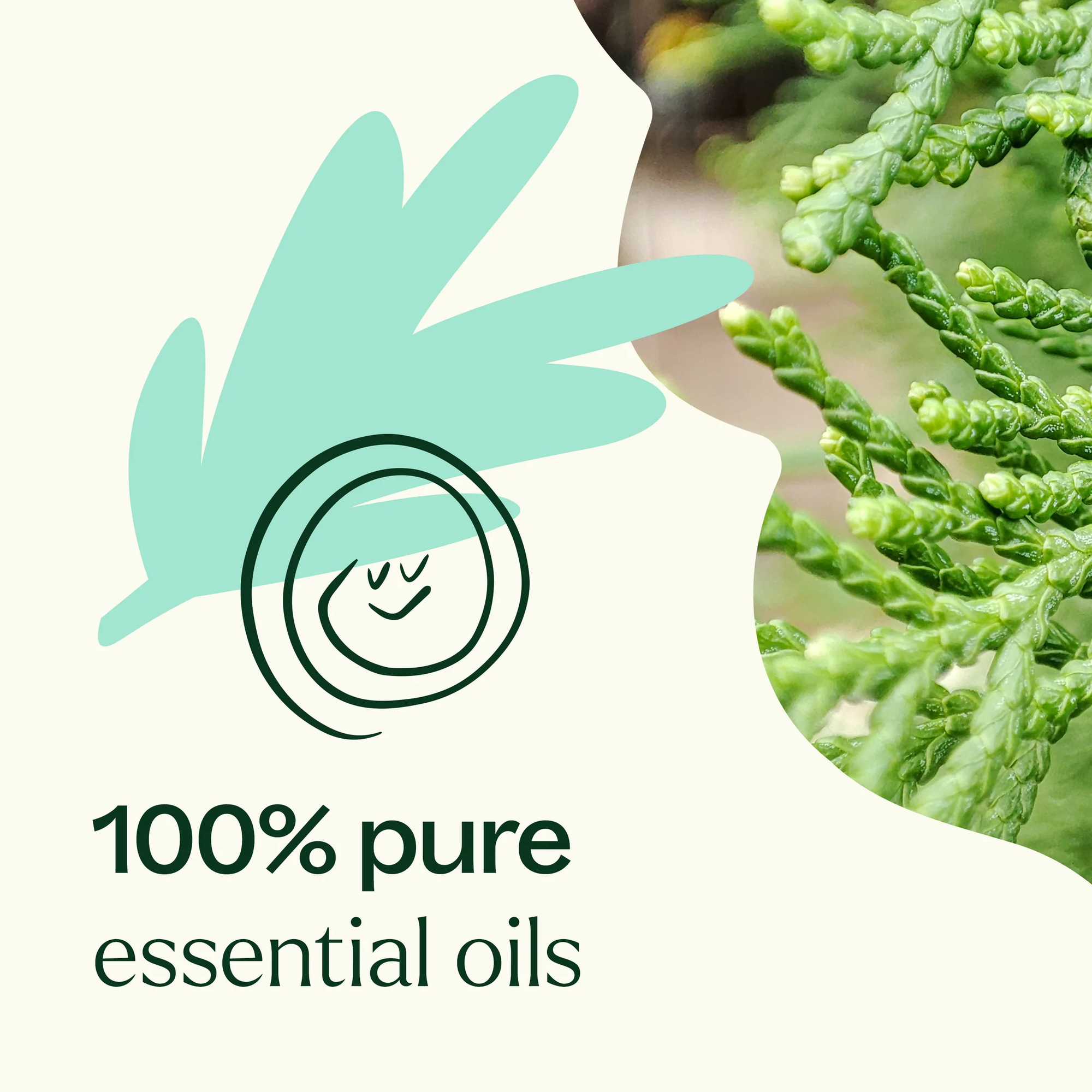 Plant Therapy Sniffle Stopper KidSafe Essential Oil