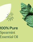 Plant Therapy Spearmint Essential Oil