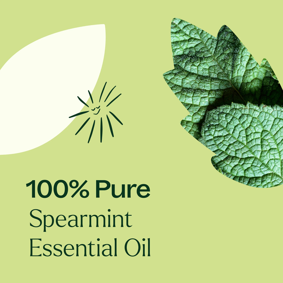 Plant Therapy Spearmint Essential Oil