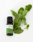 Plant Therapy Spearmint Essential Oil