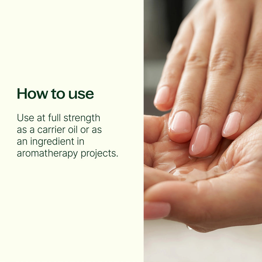 Plant Therapy Almond Sweet Carrier Oil