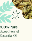 Plant Therapy Fennel Sweet Essential Oil