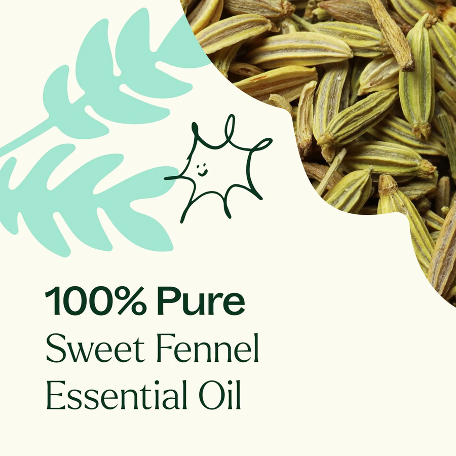 Plant Therapy Fennel Sweet Essential Oil