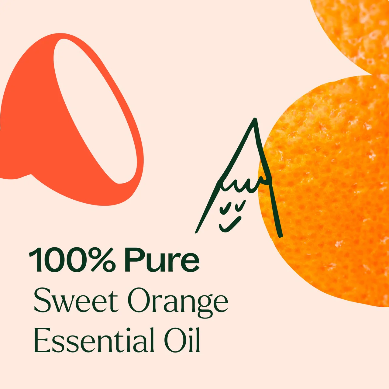 Plant Therapy Orange Sweet Essential Oil