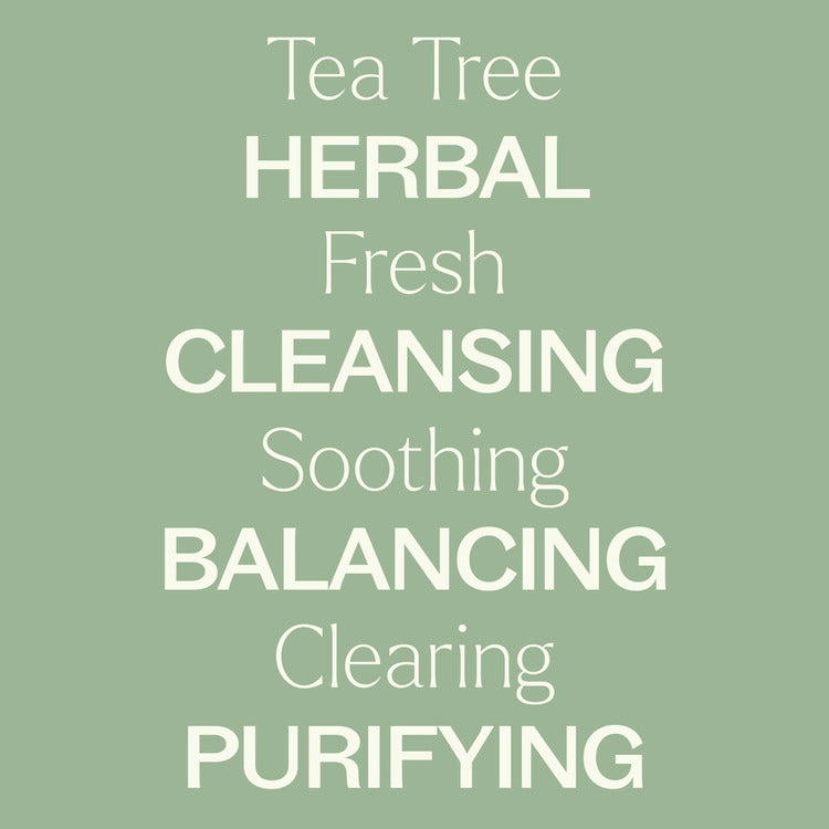 Plant Therapy Tea Tree Hydrosol