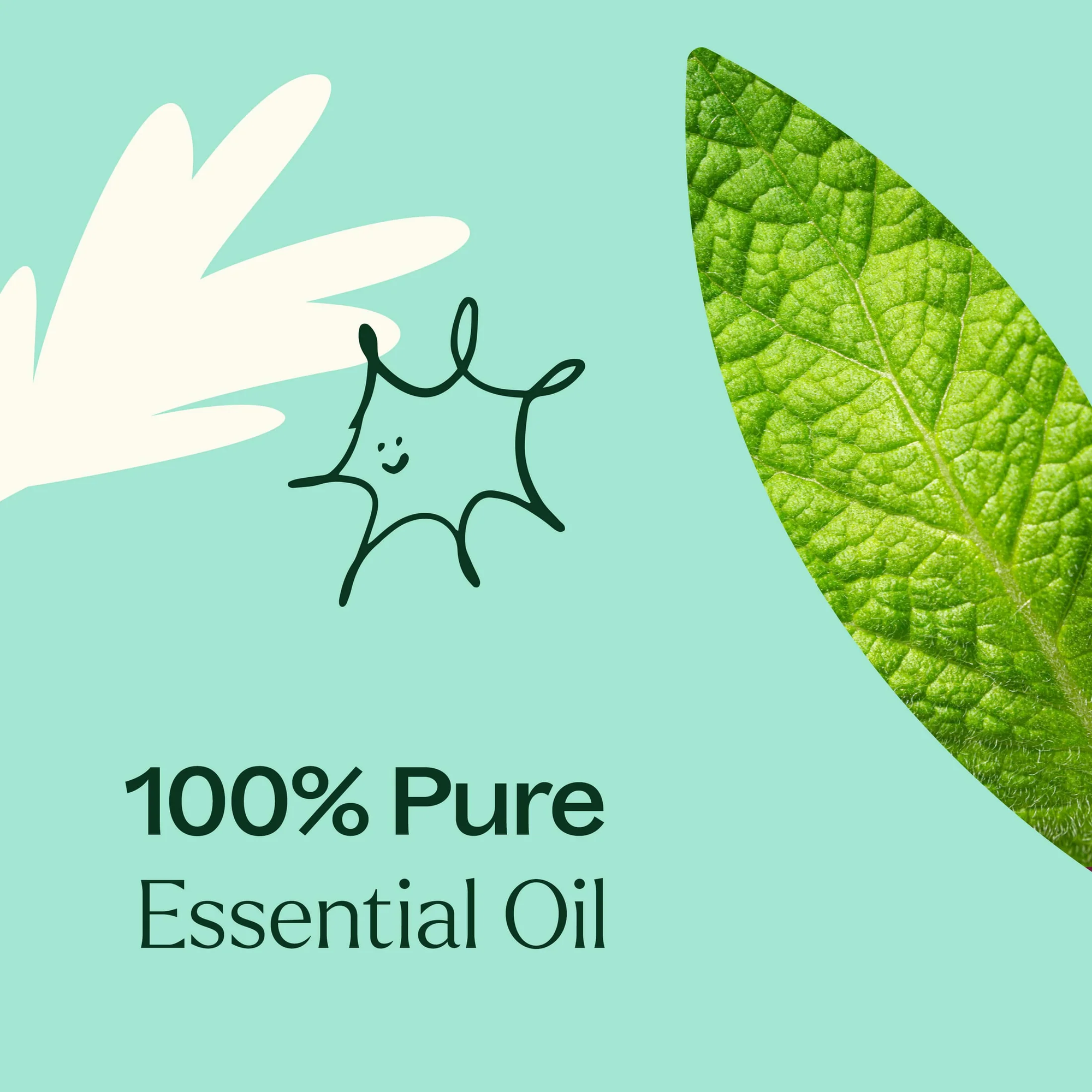 Plant Therapy Tension Relief Essential Oil Blend