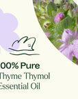 Plant Therapy Thyme Thymol Essential Oil