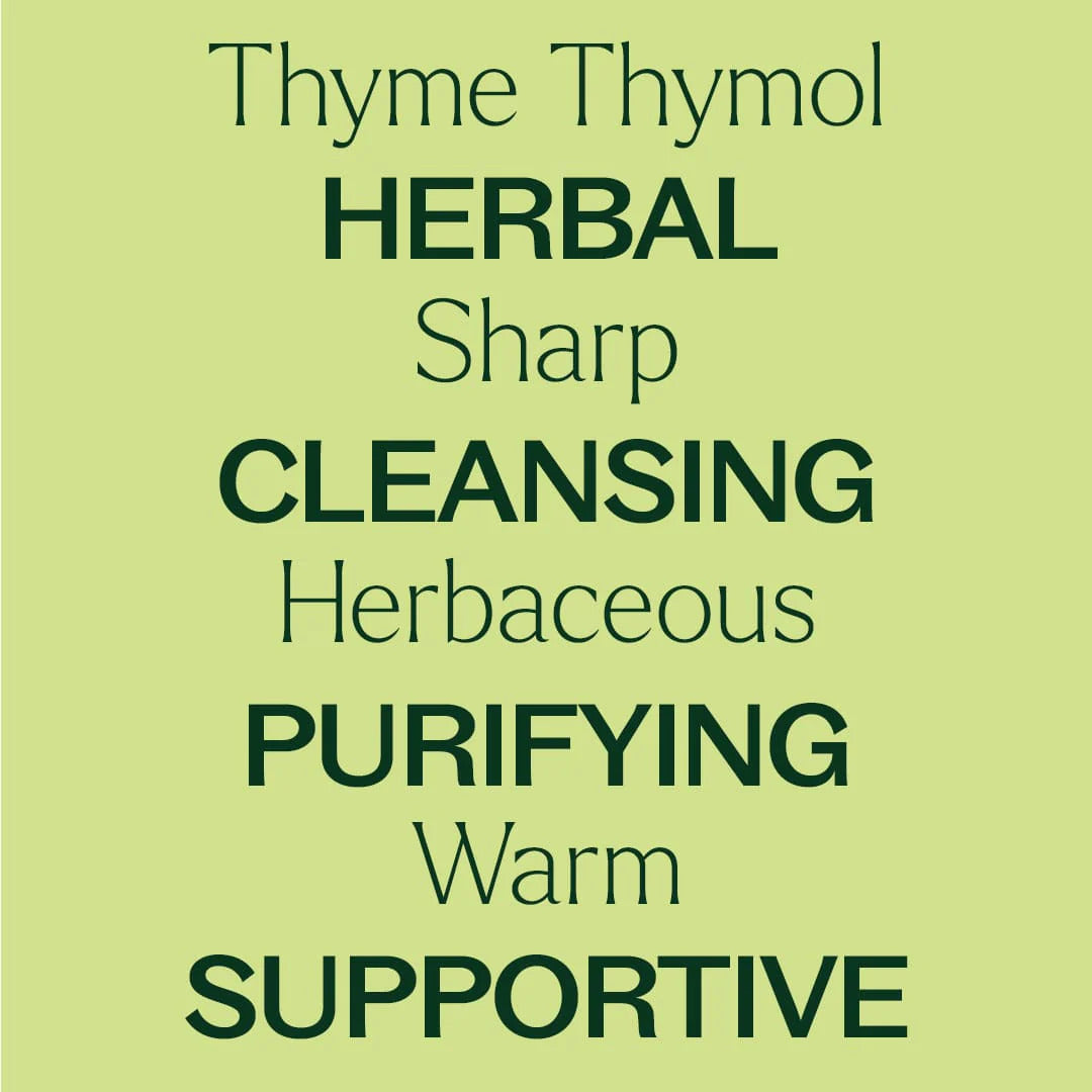 Plant Therapy Thyme Thymol Essential Oil