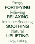 Plant Therapy Top 6 Blends Set