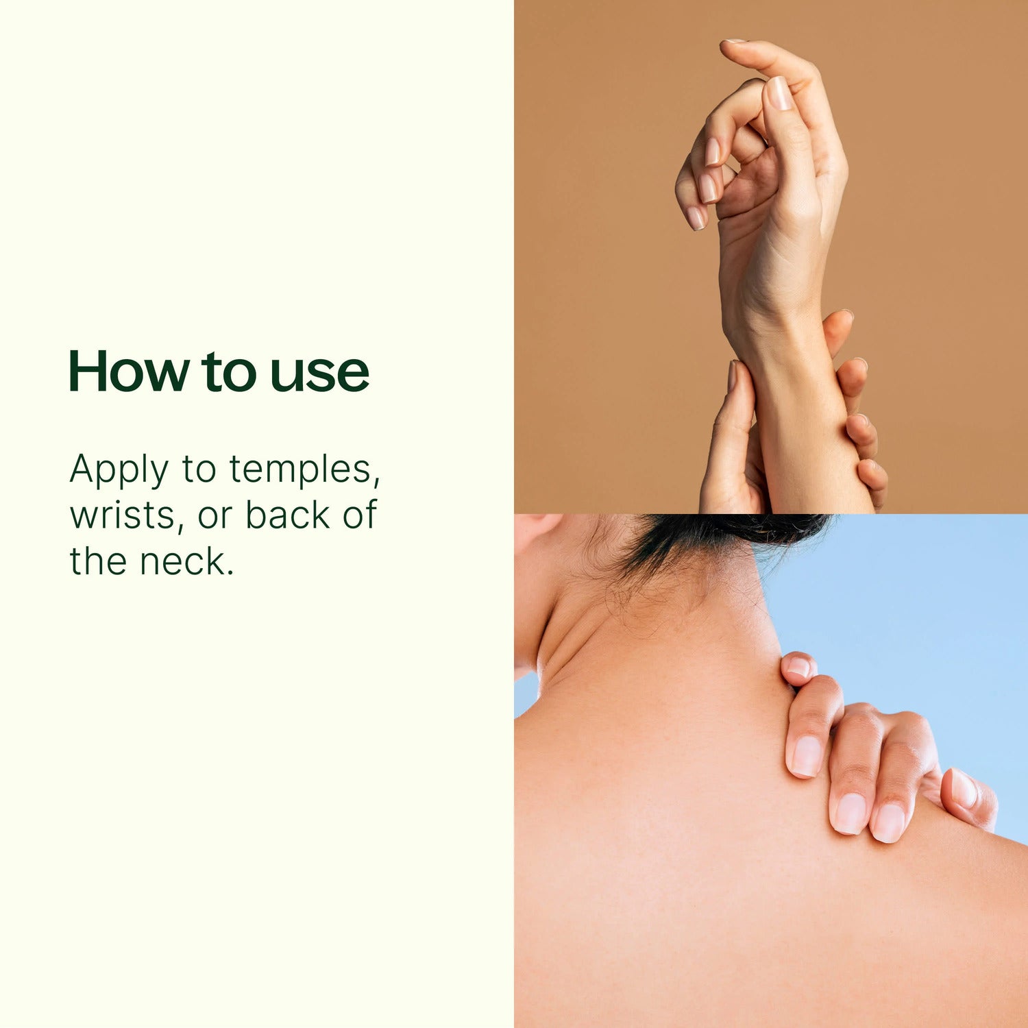 Plant Therapy Tranquil®️Essential Oil Blend