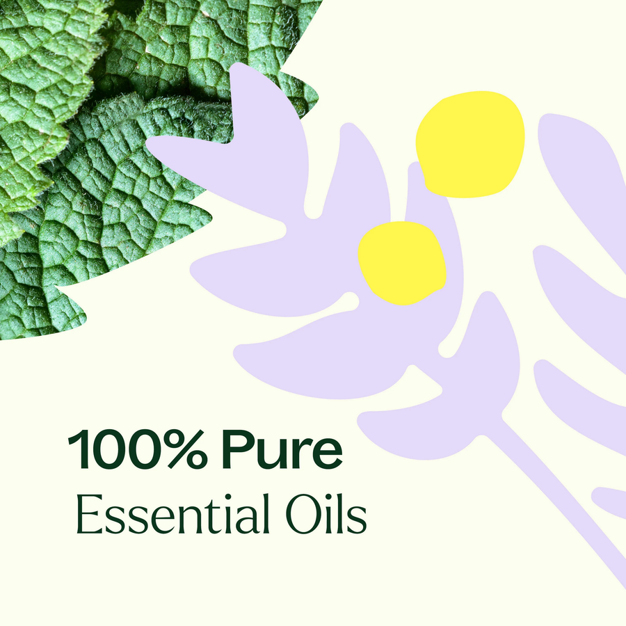 Plant Therapy True Expression (Throat Chakra) Essential Oil