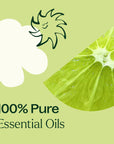 Plant Therapy Vanilla Sea Salt Essential Oil Blend