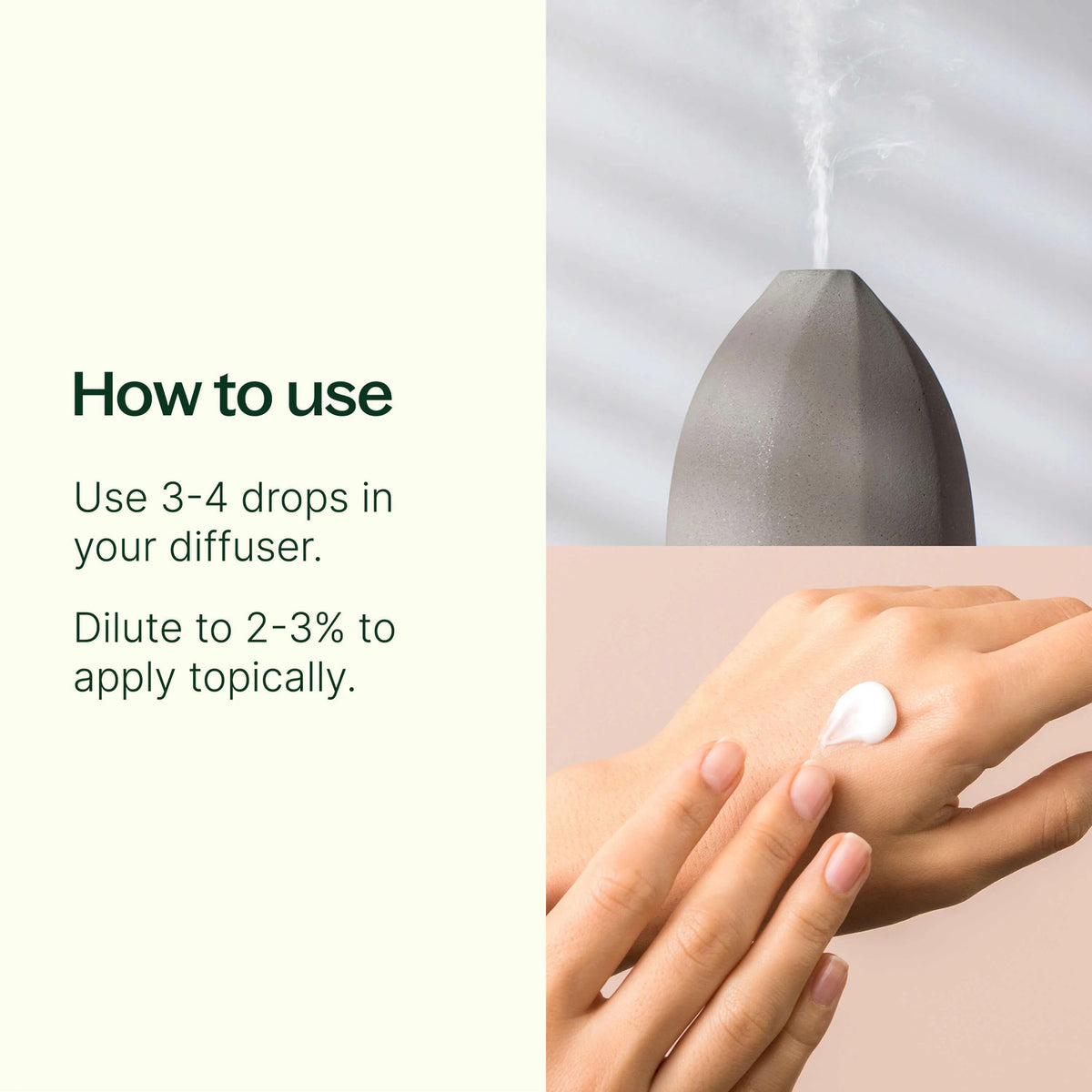 Plant Therapy Worry Free Essential Oil Blend