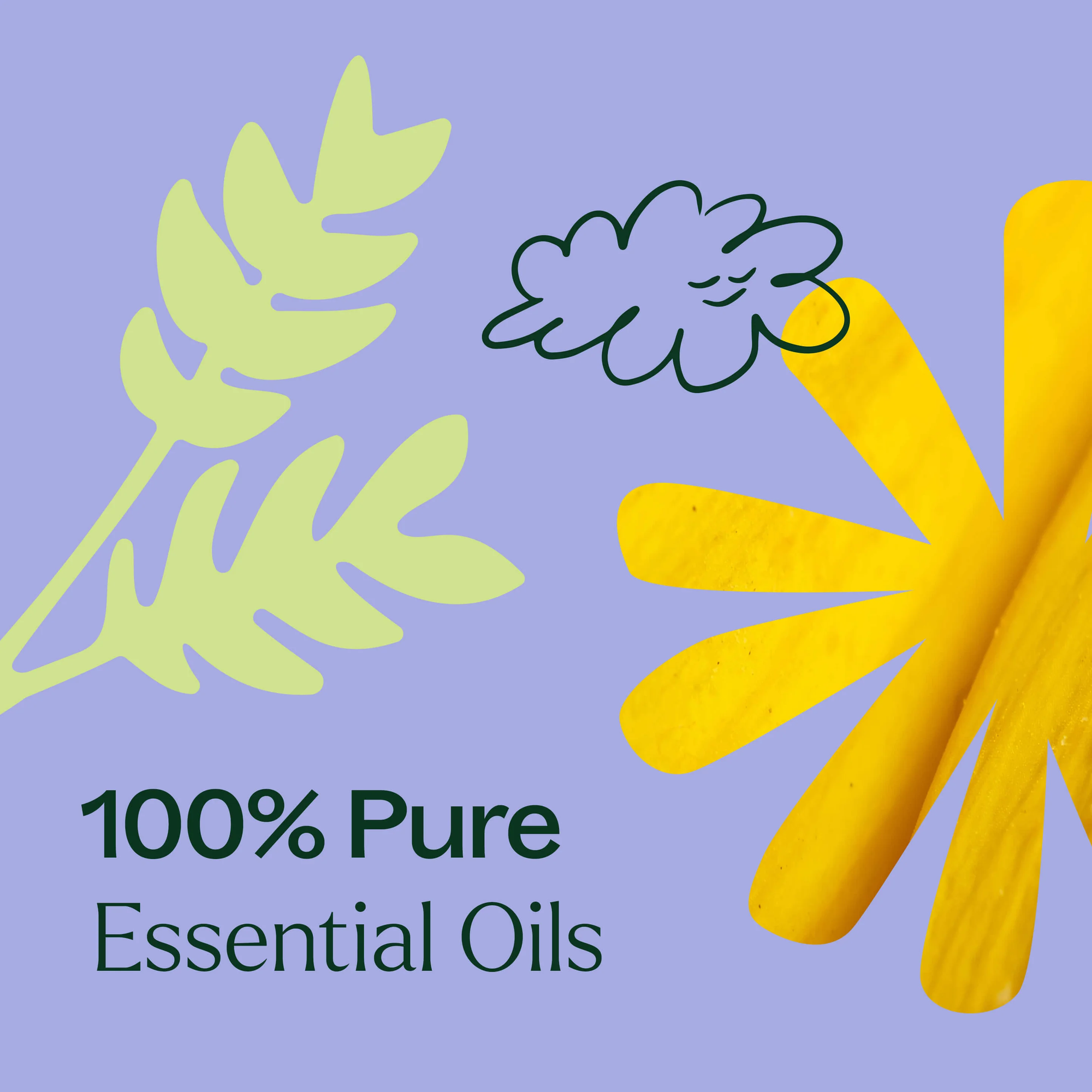Plant Therapy Worry Free Essential Oil Blend