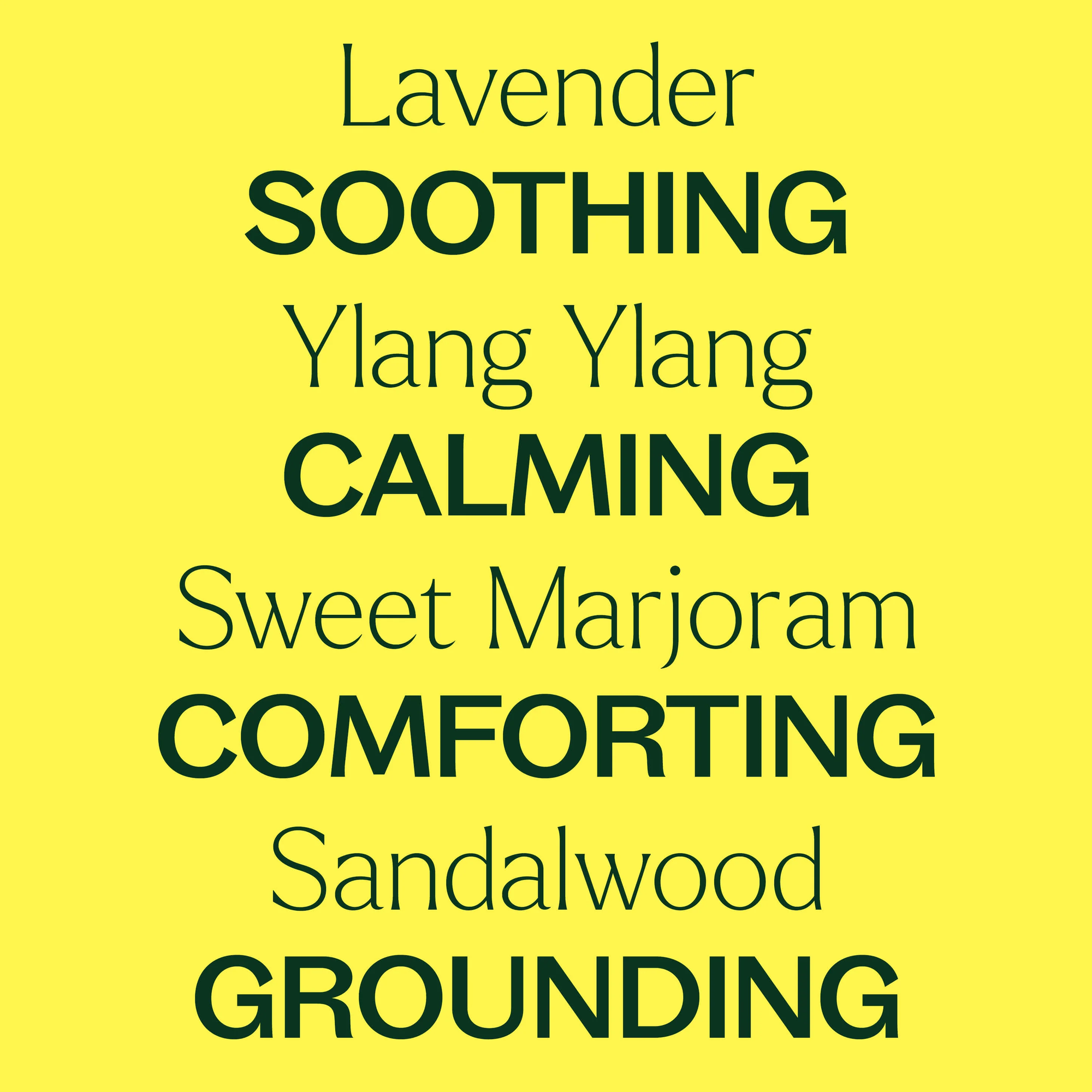 Plant Therapy Worry Free Essential Oil Blend