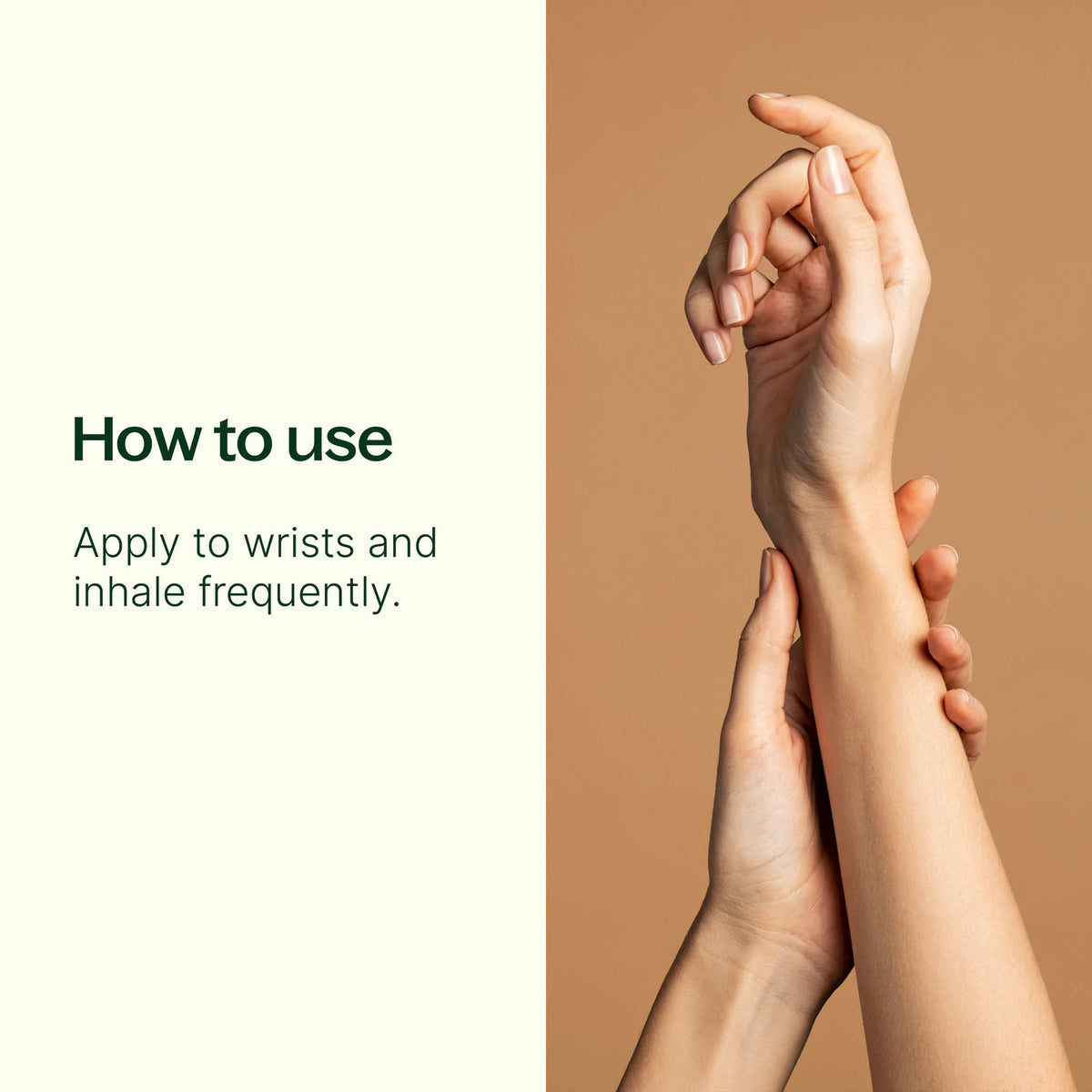 Plant Therapy Worry Free Essential Oil Blend
