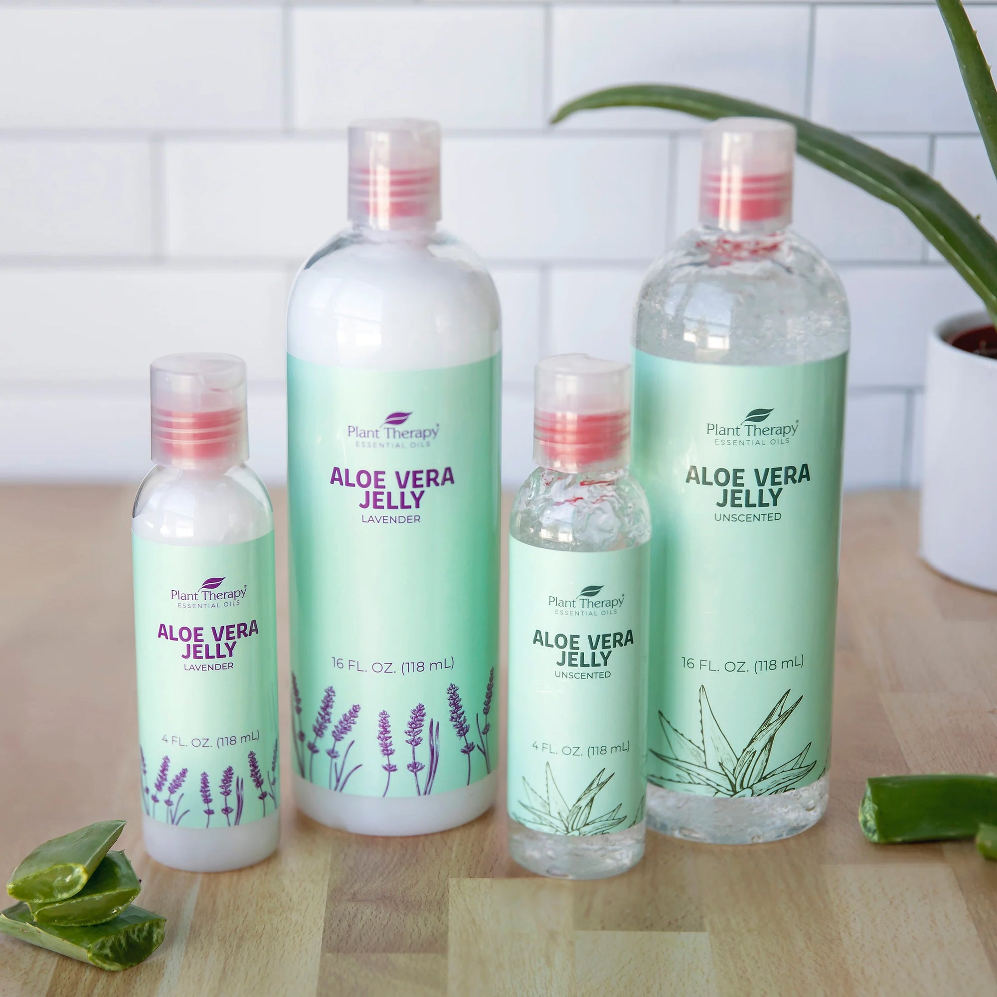 plant therapy aloe vera gel Plant Therapy Aloe Vera Jelly – OilyPod
