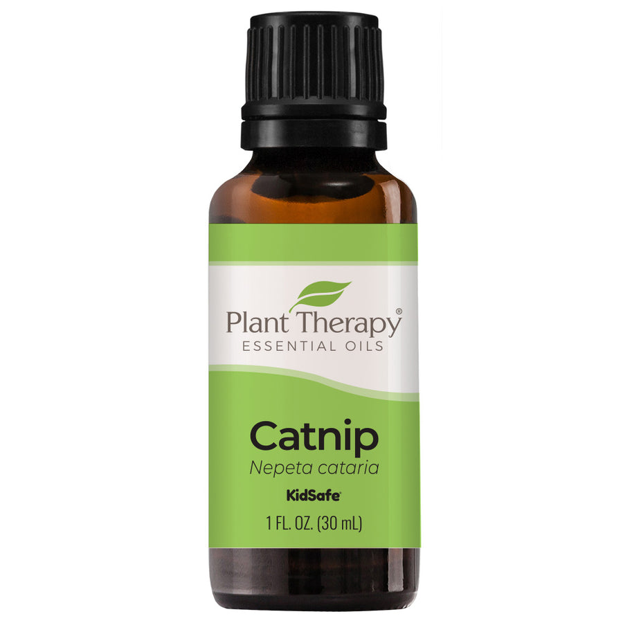 Plant Therapy Catnip Essential Oil
