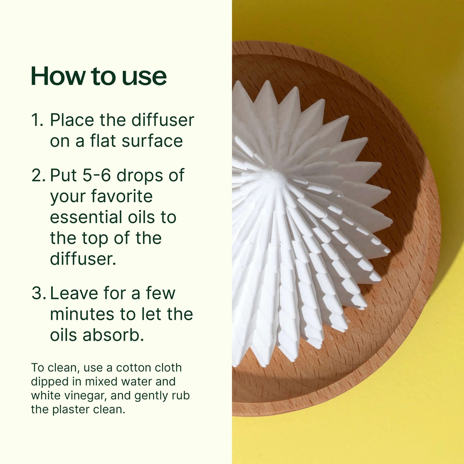 Plant Therapy Passive Diffuser