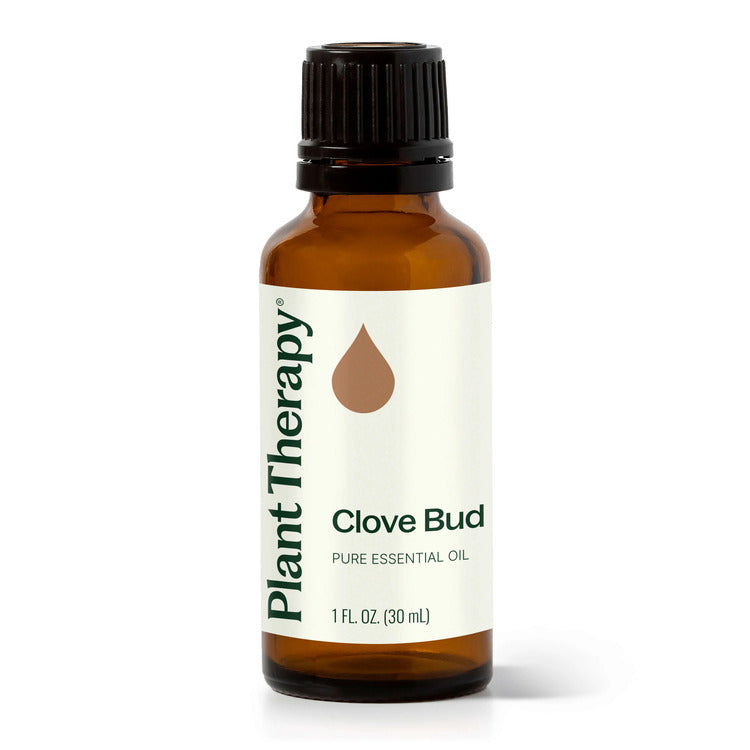 Plant Therapy Clove Bud Essential Oil