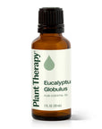Plant Therapy Eucalyptus Globulus Essential Oil