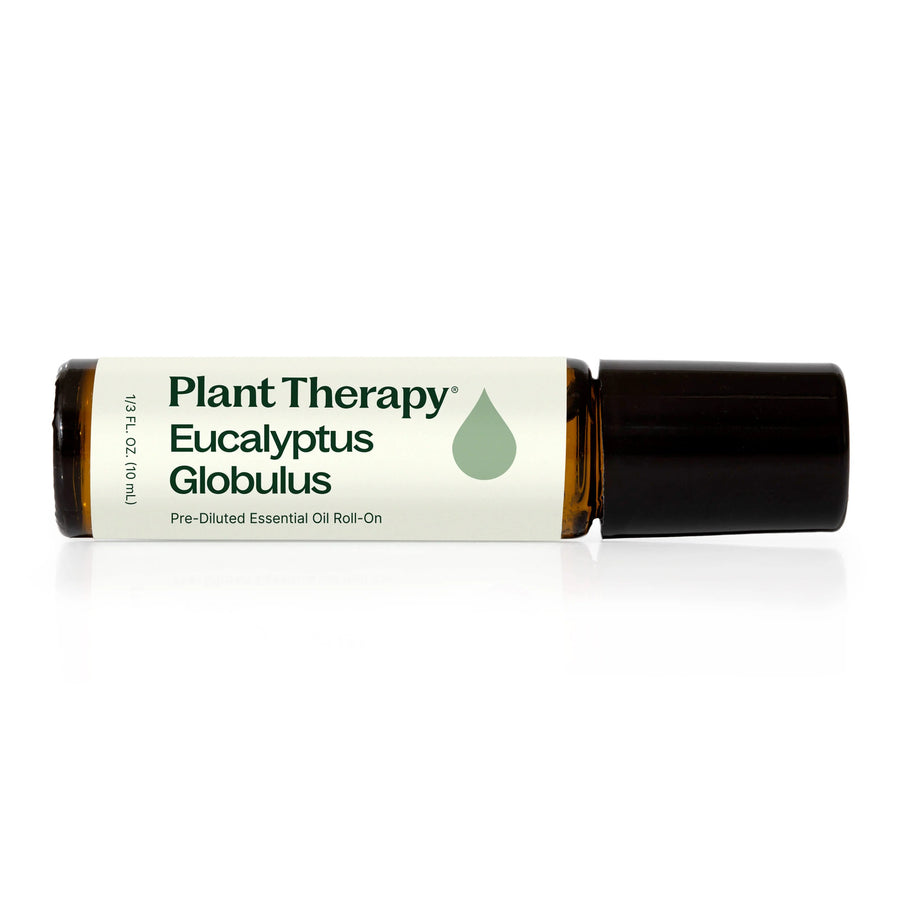 Plant Therapy Eucalyptus Globulus Essential Oil