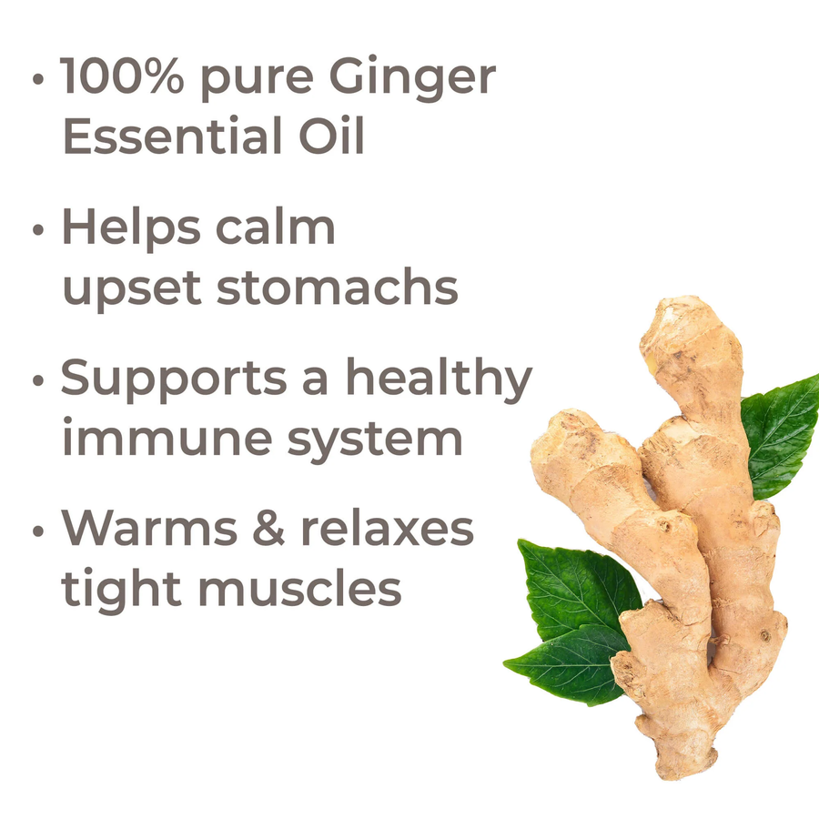 Plant Therapy Ginger Essential Oil