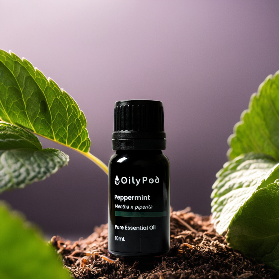 OilyPod Peppermint Essential Oil 10ml - 100% Pure & Natural, Cooling & Invigorating