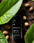 OilyPod Peppermint Essential Oil 10ml - 100% Pure & Natural, Cooling & Invigorating