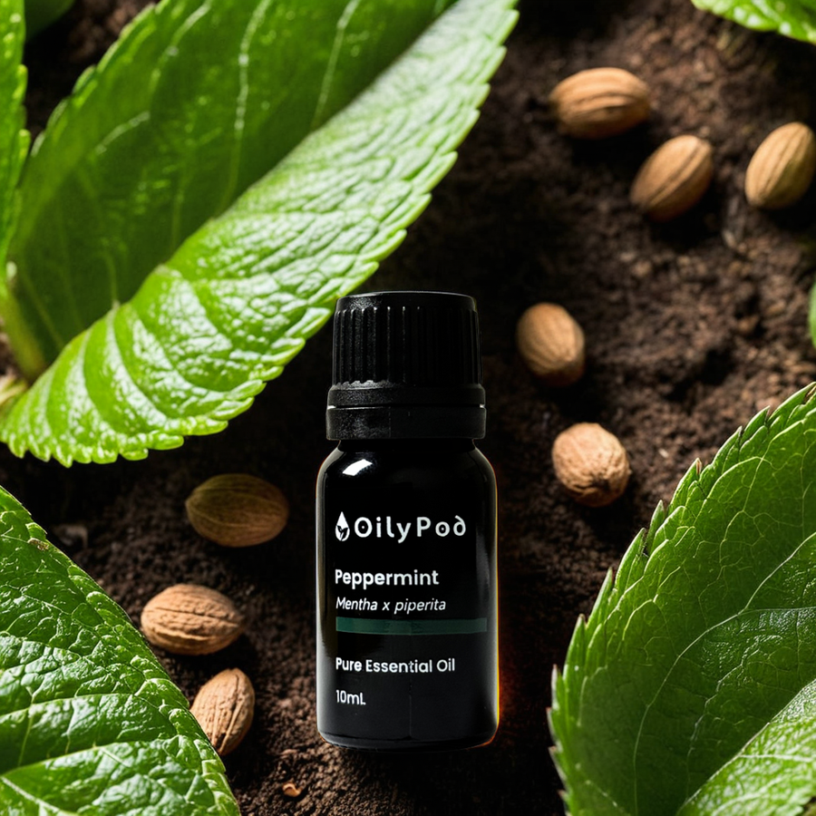 OilyPod Peppermint Essential Oil 10ml - 100% Pure & Natural, Cooling & Invigorating