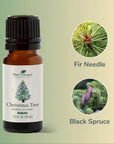 Plant Therapy Christmas Tree Essential Oil Blend 10ml