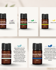 OilyPod Essential Oil Sampler Set (5 x 2ml)