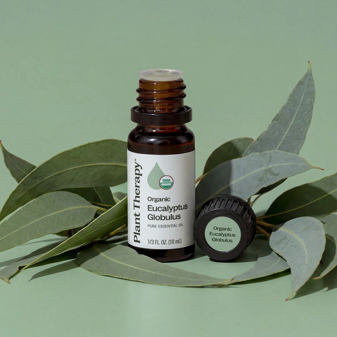Plant Therapy Eucalyptus Globulus Organic Essential Oil