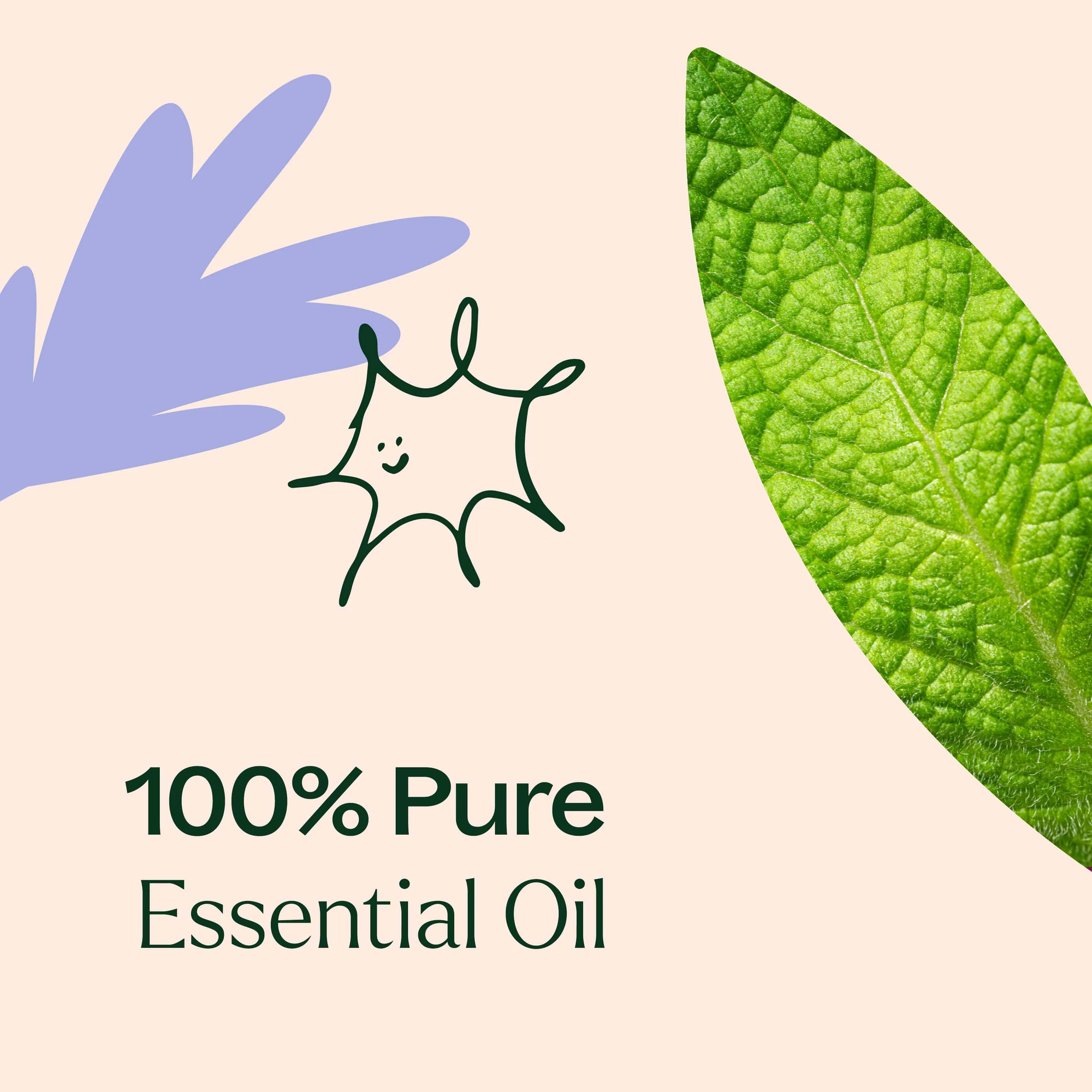 Plant Therapy Respir Aid Essential Oil Blend