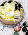 Plant Therapy Self Manifestation (Solar Plexus Chakra) Essential Oil