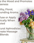 Plant Therapy Sensual Essential Oil Blend