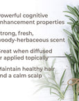 Plant Therapy Rosemary 1,8-Cineole Organic Essential Oil