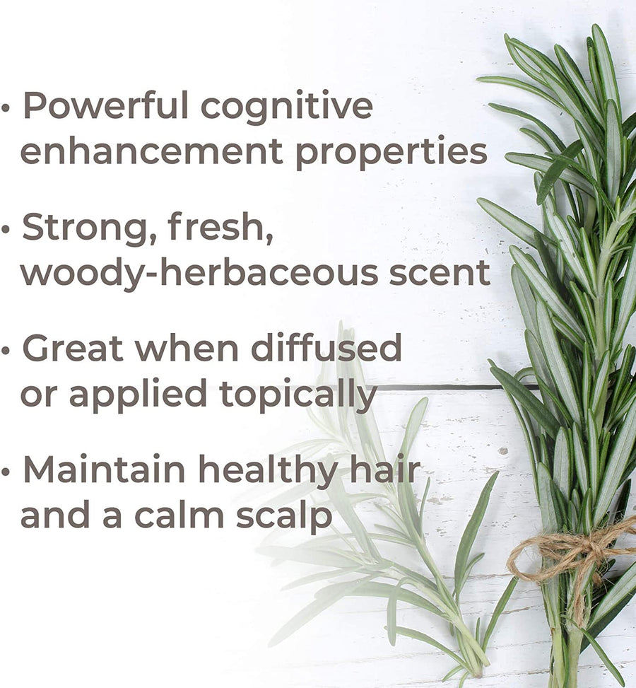 Plant Therapy Rosemary 1,8-Cineole Essential Oil